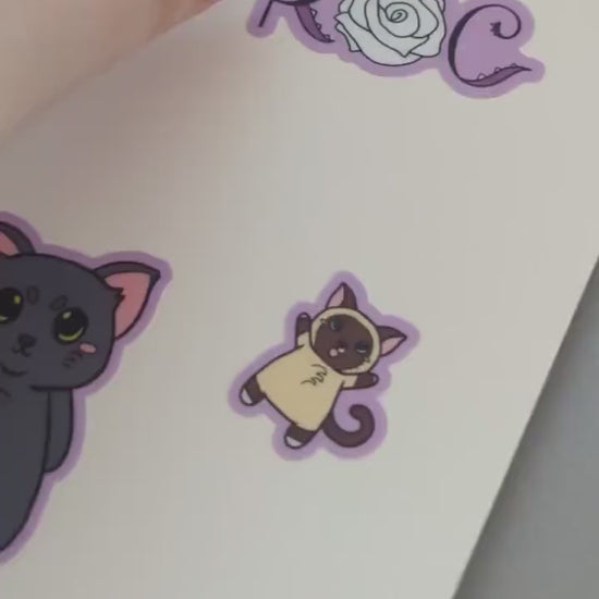 Reusable Sticker Book Album Gallery